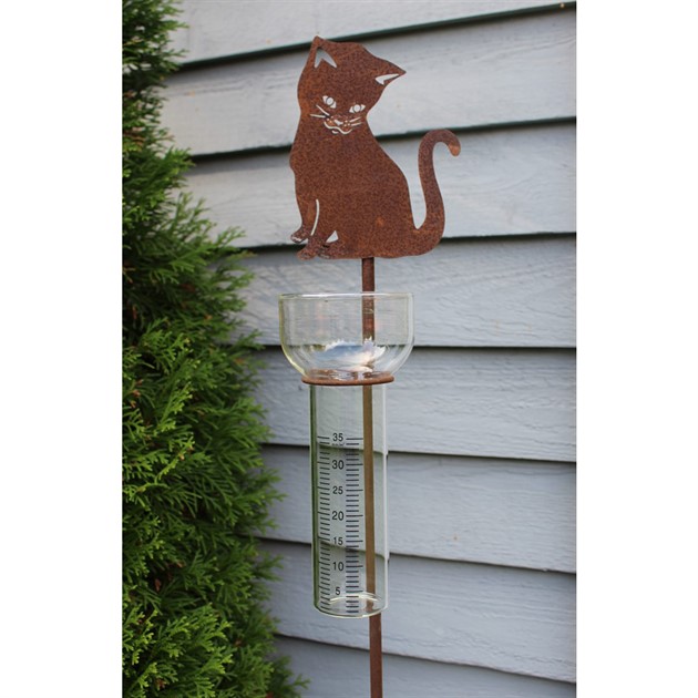 Regnmätare katt, tussie 1